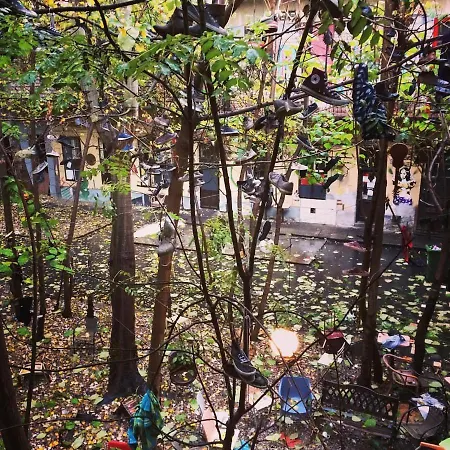 Grandio Party Albergue