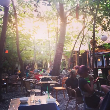 Albergue Grandio Party *