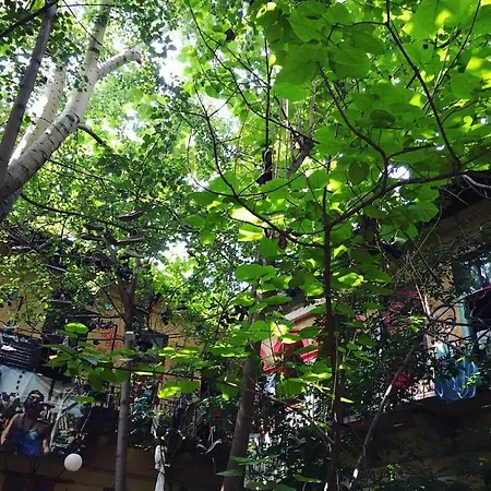 Хостел Grandio Party Будапешт